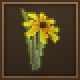 flameflower