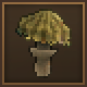greenwoodcap