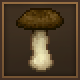 Porcini porcini