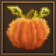 Pumpkin pumpkin