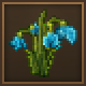 snowdrop