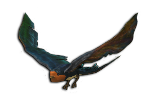swallow